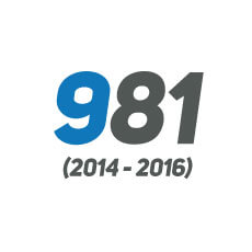 981 Cayman (2014-2016)