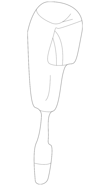 Genuine BMW Selector-Lever Grip Leather (Black) - 25167533347