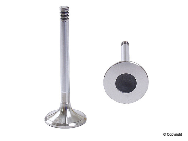 TRW Exhaust Valve - 1123