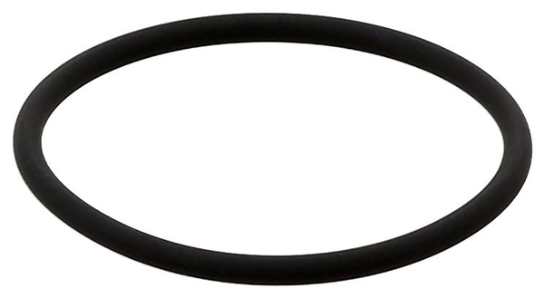 Elring Scavenger Oil Pump O-Ring - 302820