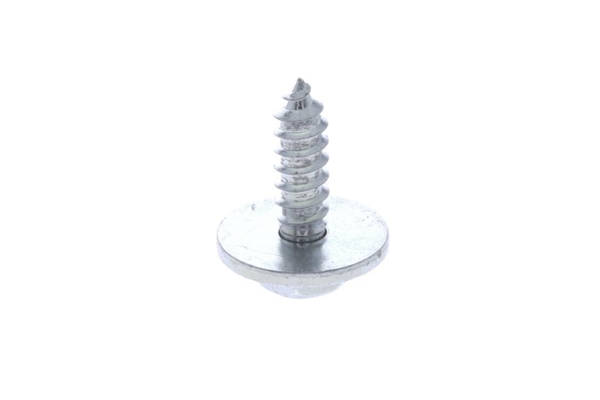 Vaico Hex Head Screw - V200830