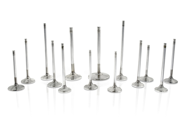 Ferrea Comp Plus Exh Valve - Sets F1554P